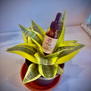 Tea Tree Oil